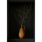 Vase Deko OSTRA - 5884449